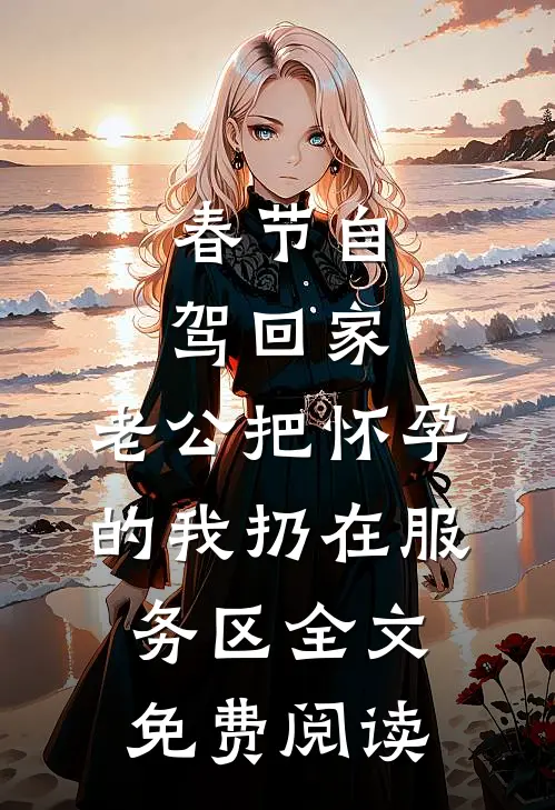 春节自驾回家，老公把怀孕的我扔在服务区全文免费阅读