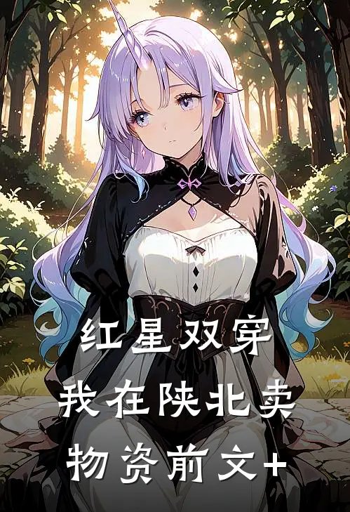 红星双穿：我在陕北卖物资前文+