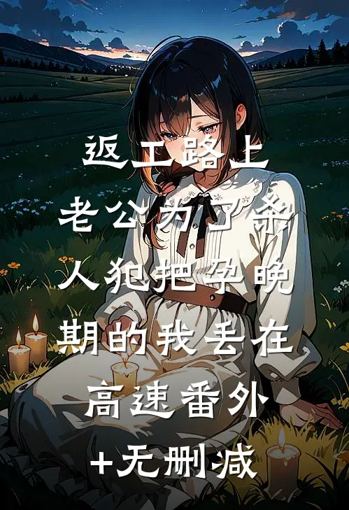 返工路上，老公为了杀人犯把孕晚期的我丢在高速番外+无删减