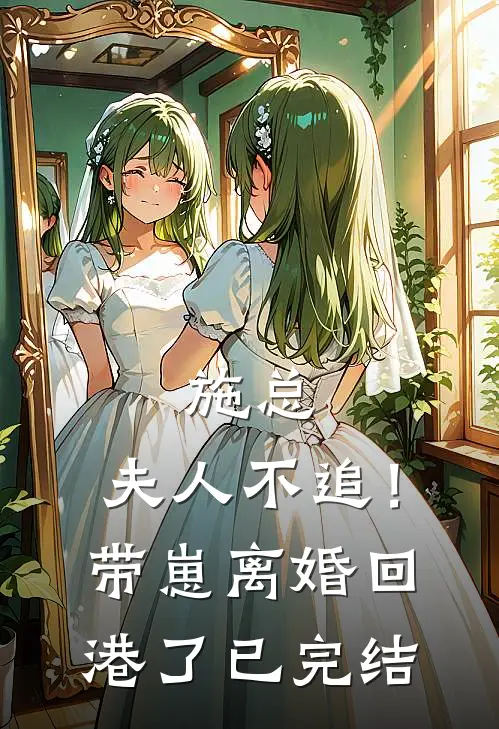 施总，夫人不追！带崽离婚回港了已完结