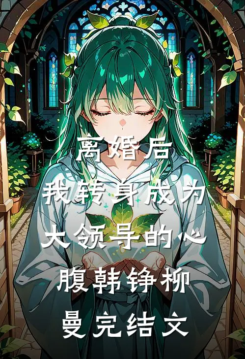 离婚后，我转身成为大领导的心腹韩铮柳曼完结文