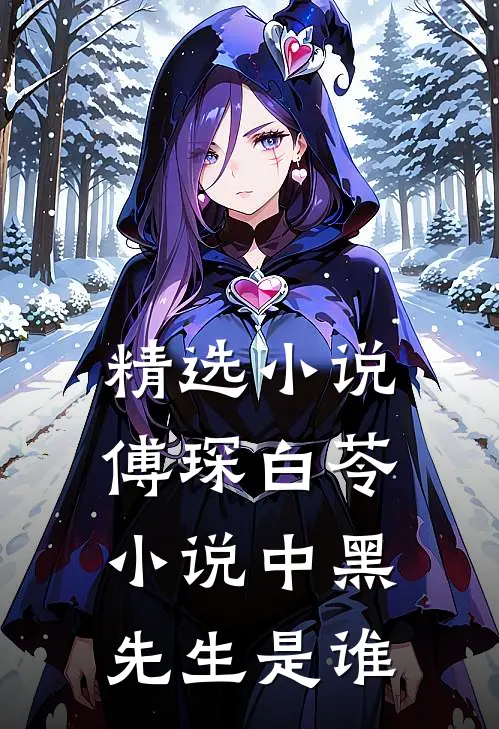 精选小说傅琛白苓小说中黑先生是谁