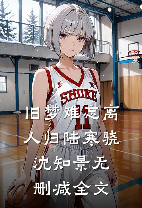旧梦难忘离人归陆寒骁沈知景无删减全文