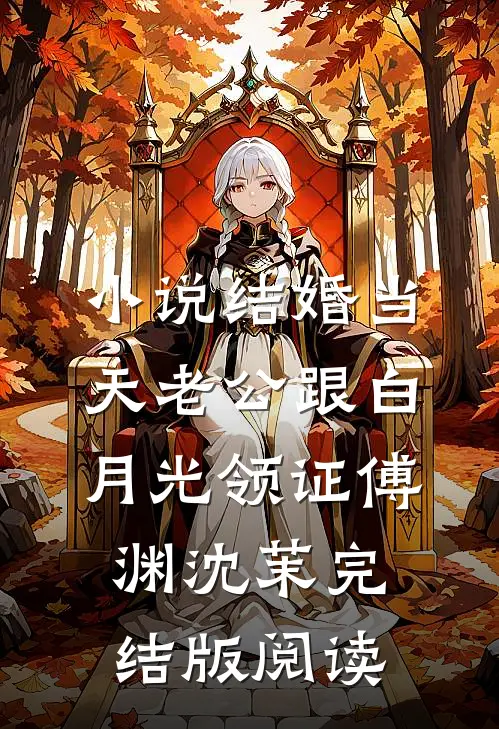 小说结婚当天老公跟白月光领证傅渊沈茉完结版阅读