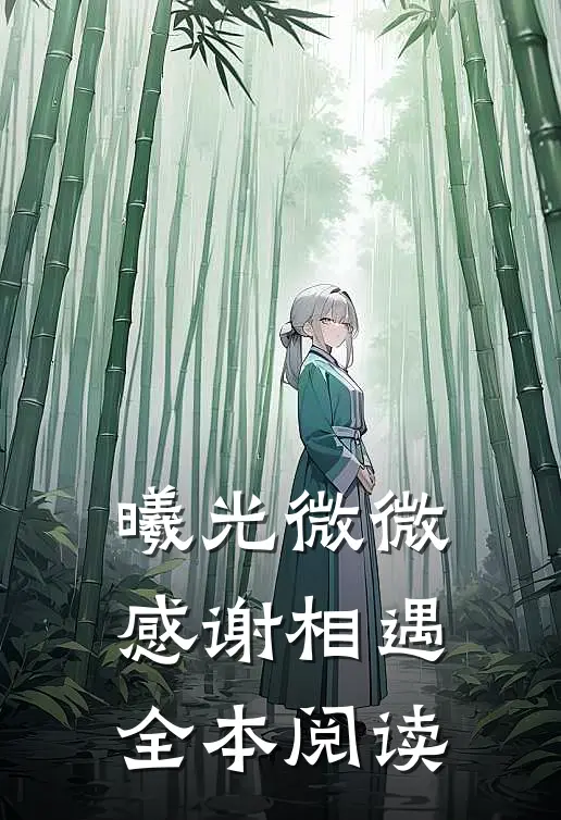 曦光微微，感谢相遇全本阅读