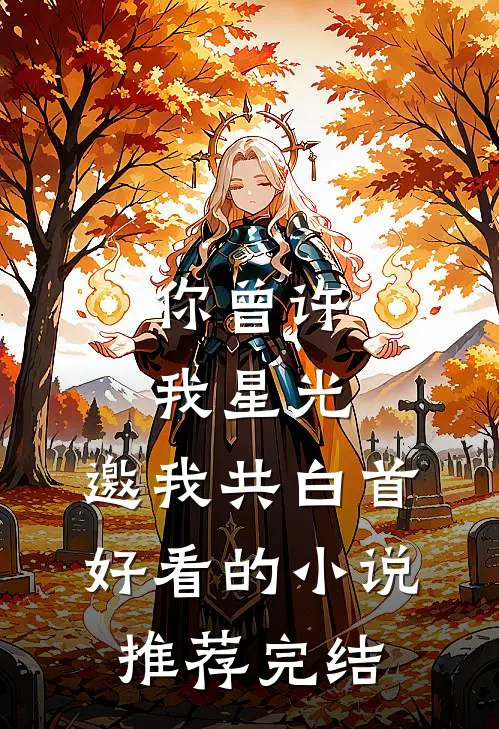 你曾许我星光，邀我共白首好看的小说推荐完结