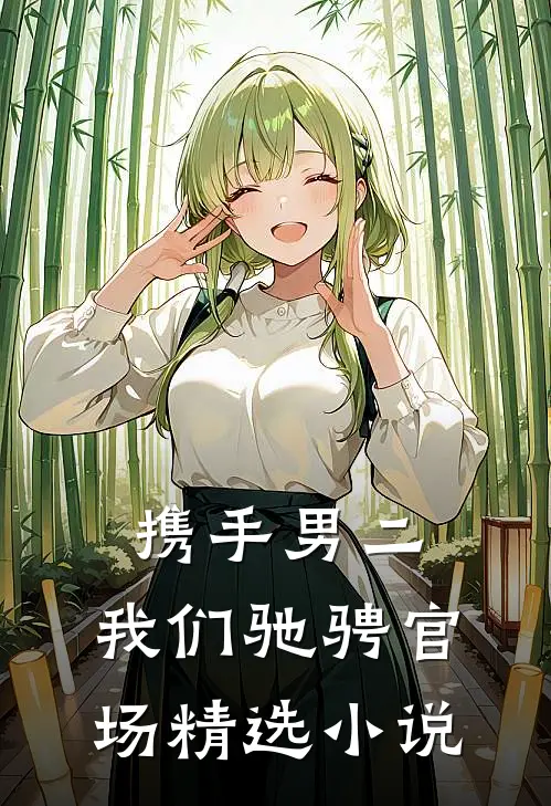 携手男二，我们驰骋官场精选小说