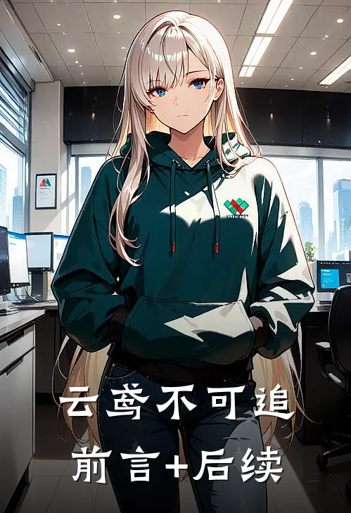云鸢不可追前言+后续