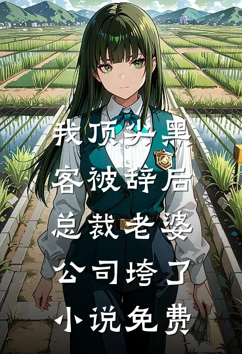 我顶尖黑客被辞后，总裁老婆公司垮了小说免费