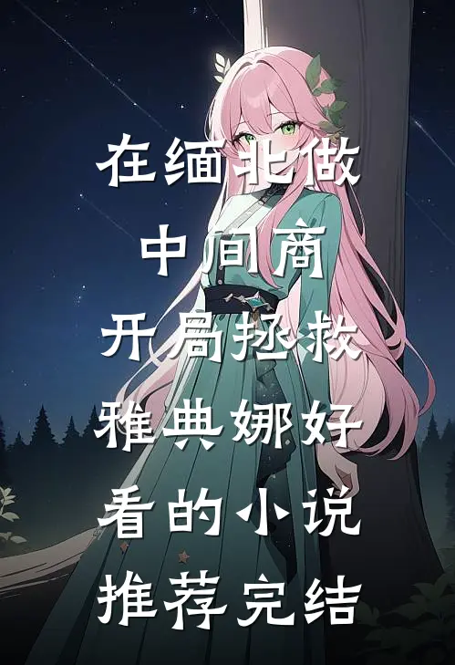 在缅北做中间商，开局拯救雅典娜好看的小说推荐完结