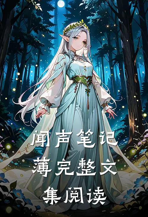 闻声笔记薄完整文集阅读