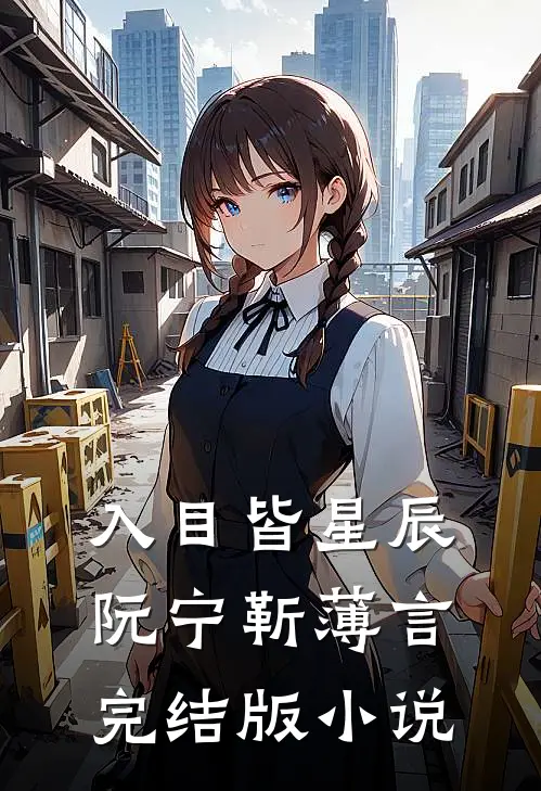 入目皆星辰阮宁靳薄言完结版小说