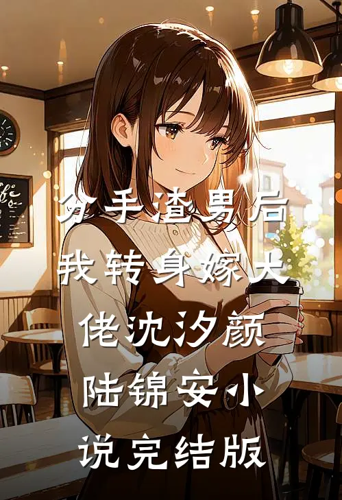 分手渣男后，我转身嫁大佬沈汐颜陆锦安小说完结版