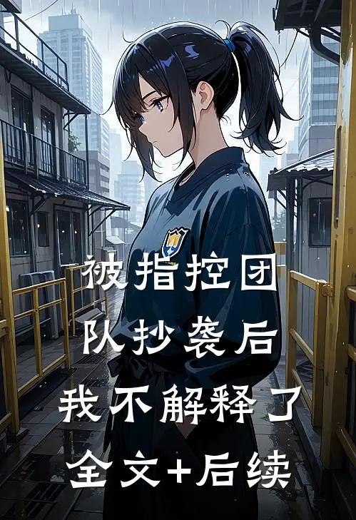 被指控团队抄袭后，我不解释了全文+后续