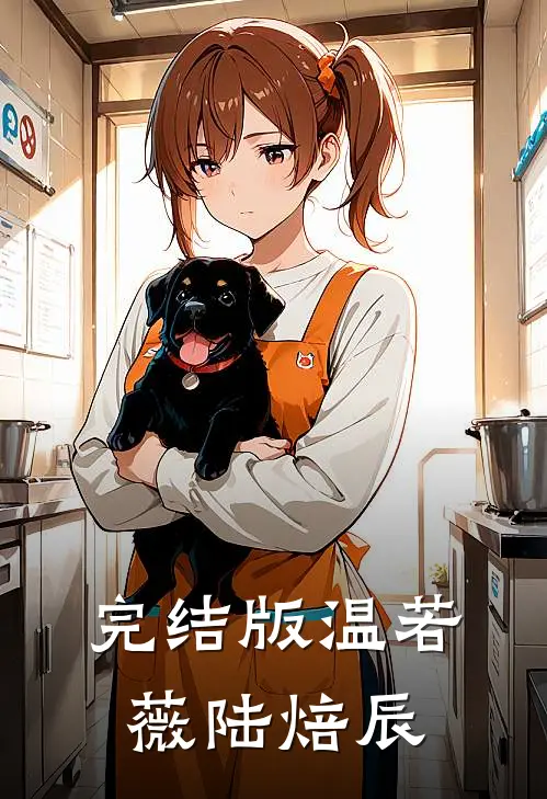 完结版温若薇陆焙辰