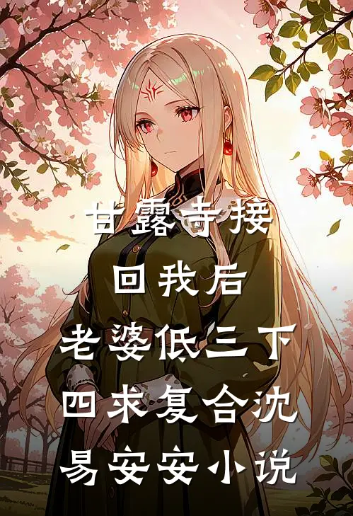 甘露寺接回我后，老婆低三下四求复合沈易安安小说