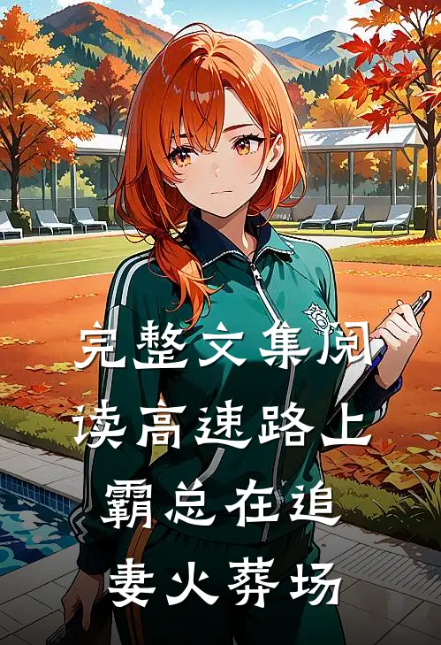 完整文集阅读高速路上，霸总在追妻火葬场