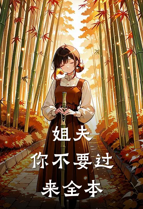 姐夫，你不要过来全本