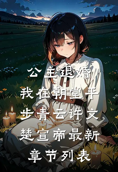 公主退婚，我在朝堂平步青云许文楚宣帝最新章节列表
