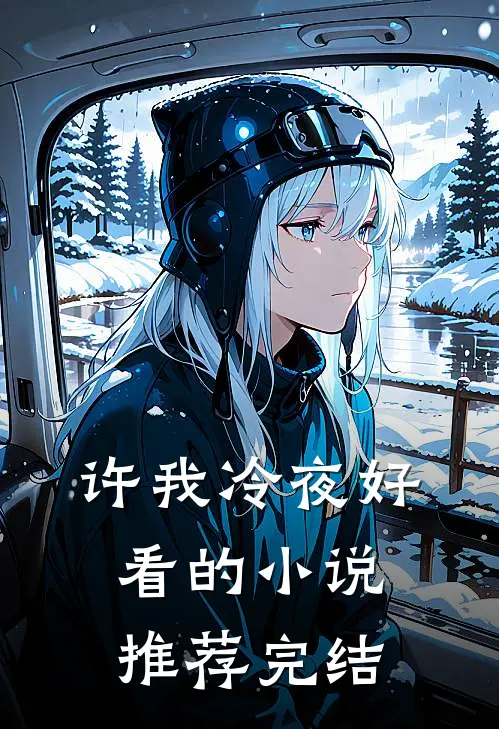 许我冷夜好看的小说推荐完结