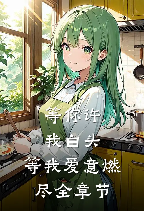 等你许我白头，等我爱意燃尽全章节