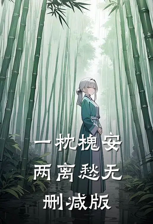 一枕槐安两离愁无删减版