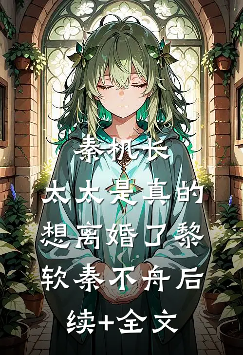 秦机长，太太是真的想离婚了黎软秦不舟后续+全文