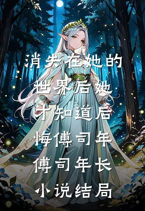 消失在她的世界后她才知道后悔傅司年傅司年长小说结局