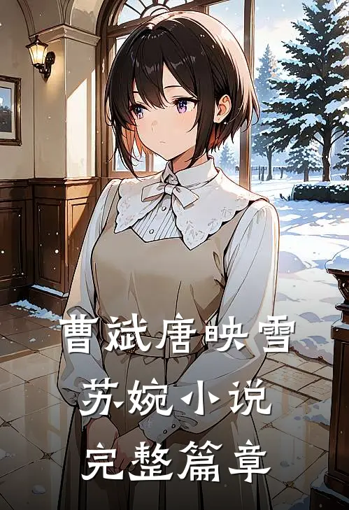 曹斌唐映雪苏婉小说完整篇章