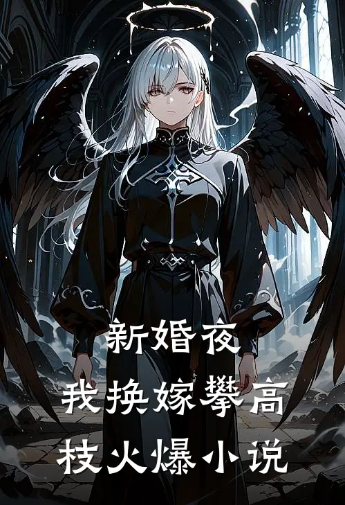 新婚夜，我换嫁攀高枝火爆小说