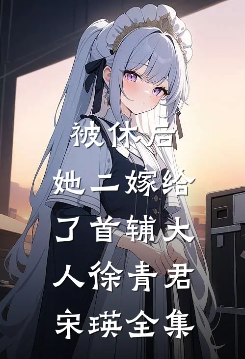 被休后，她二嫁给了首辅大人徐青君宋瑛全集