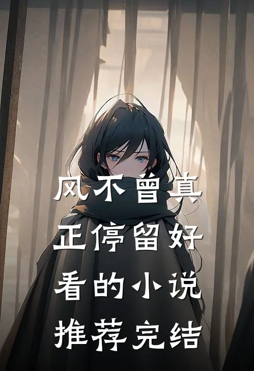 风不曾真正停留好看的小说推荐完结