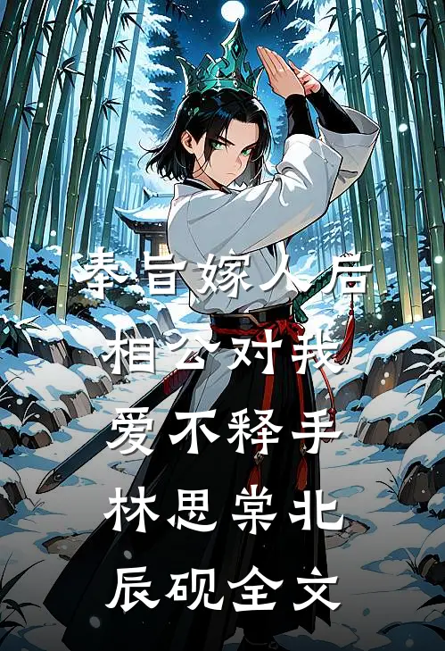 奉旨嫁人后，相公对我爱不释手林思棠北辰砚全文
