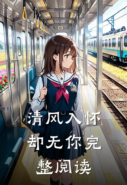 清风入怀却无你完整阅读