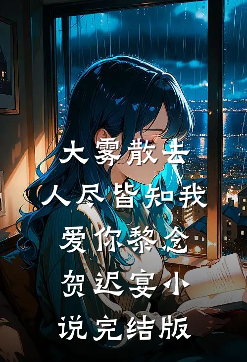 大雾散去，人尽皆知我爱你黎念贺迟宴小说完结版