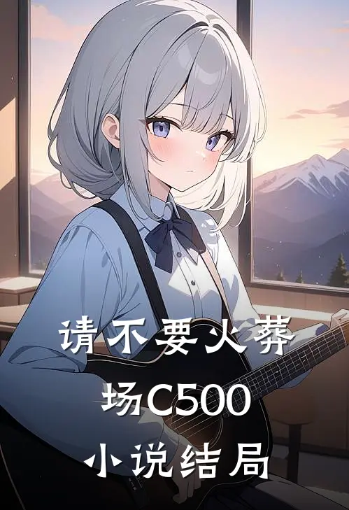 请不要火葬场C500小说结局