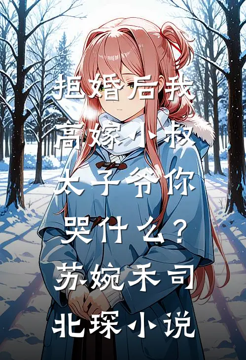 拒婚后我高嫁小叔，太子爷你哭什么？苏婉禾司北琛小说