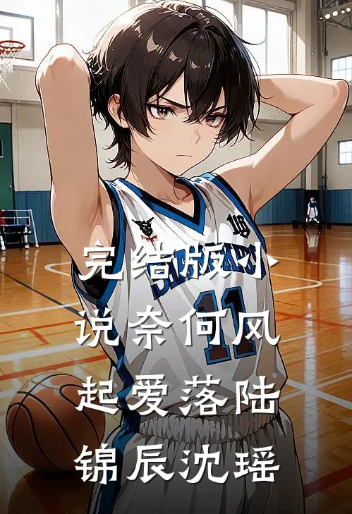 完结版小说奈何风起爱落陆锦辰沈瑶