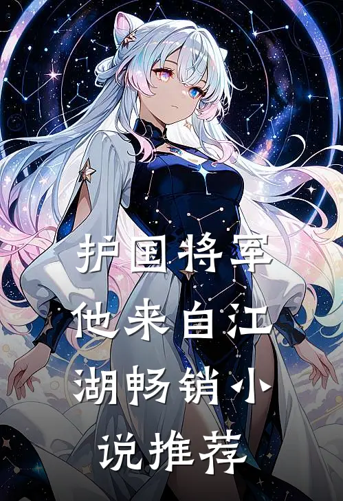 护国将军：他来自江湖畅销小说推荐