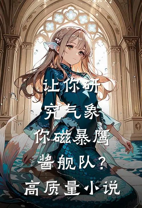 让你研究气象，你磁暴鹰酱舰队？高质量小说