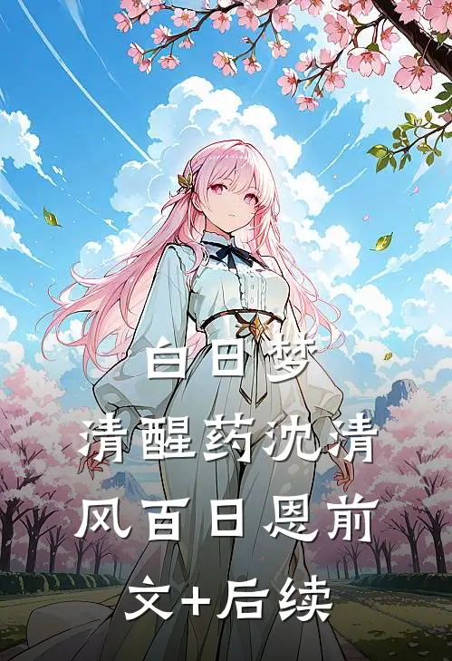 白日梦，清醒药沈清风百日恩前文+后续