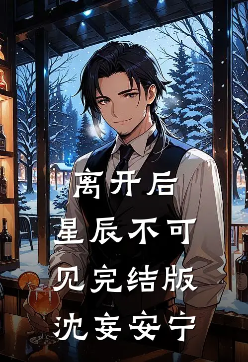 离开后，星辰不可见完结版沈妄安宁