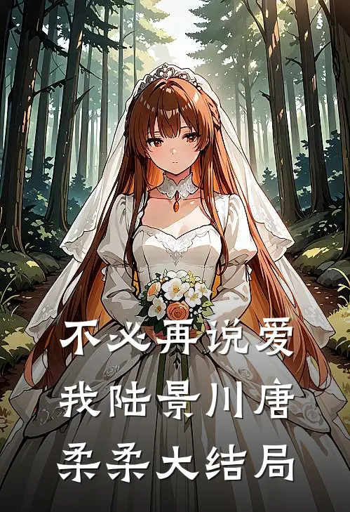 不必再说爱我陆景川唐柔柔大结局