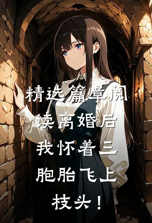 精选篇章阅读离婚后，我怀着三胞胎飞上枝头！