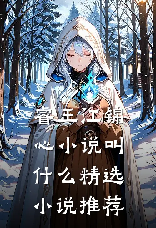 睿王江锦心小说叫什么精选小说推荐