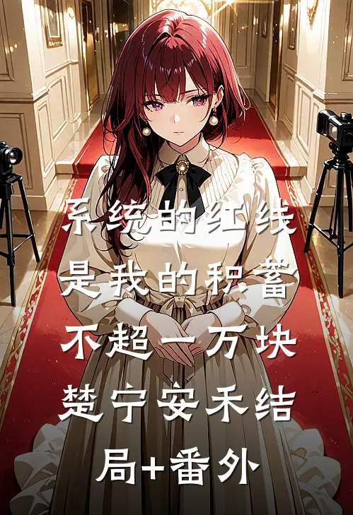 系统的红线，是我的积蓄不超一万块楚宁安禾结局+番外