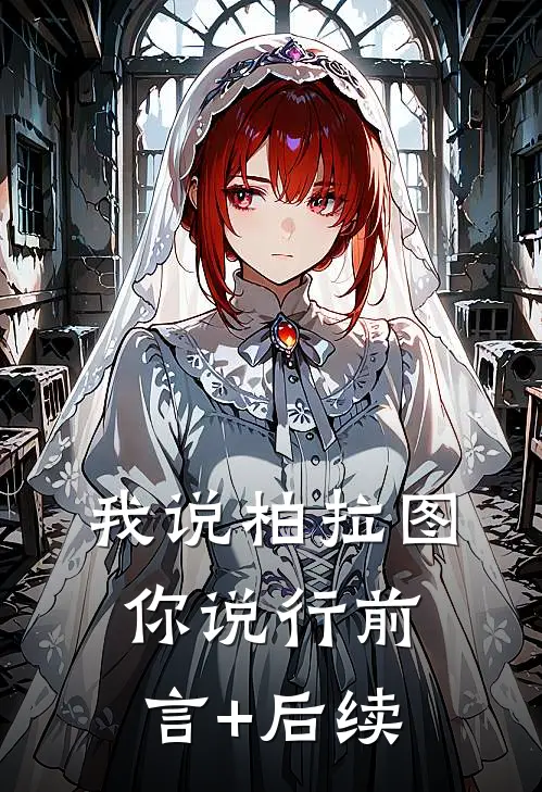 我说柏拉图你说行前言+后续