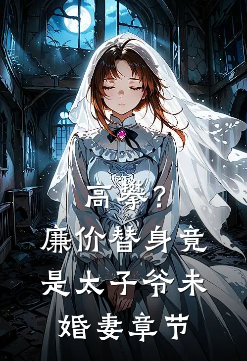 高攀？廉价替身竟是太子爷未婚妻章节