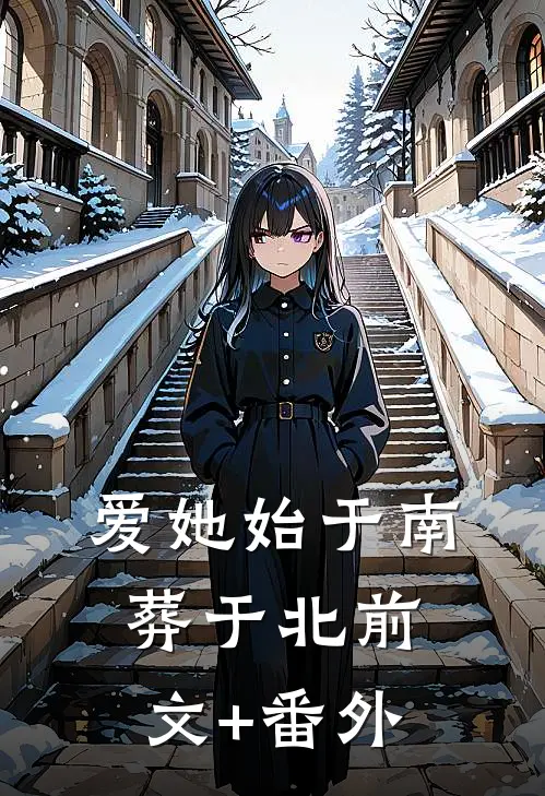 爱她始于南，葬于北前文+番外