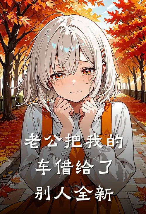 老公把我的车借给了别人全新